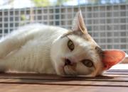 IMG8798